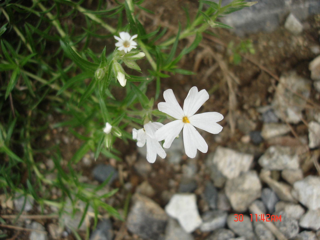 dsc01874.jpg