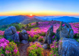 초암산