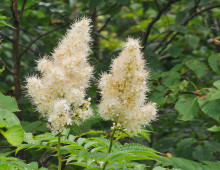  width=100%></a></td></tr><tr><td height=1 bgcolor=#cccccc></td></tr><tr><td bgcolor=#f3f3f3 align=center height=22><a href=