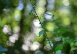 추분취