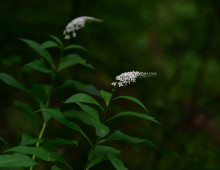  width=100%></a></td></tr><tr><td height=1 bgcolor=#cccccc></td></tr><tr><td bgcolor=#f3f3f3 align=center height=22><a href=